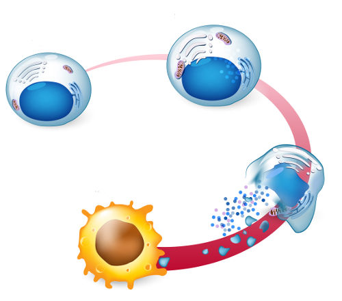 necrose por pressão como evitar