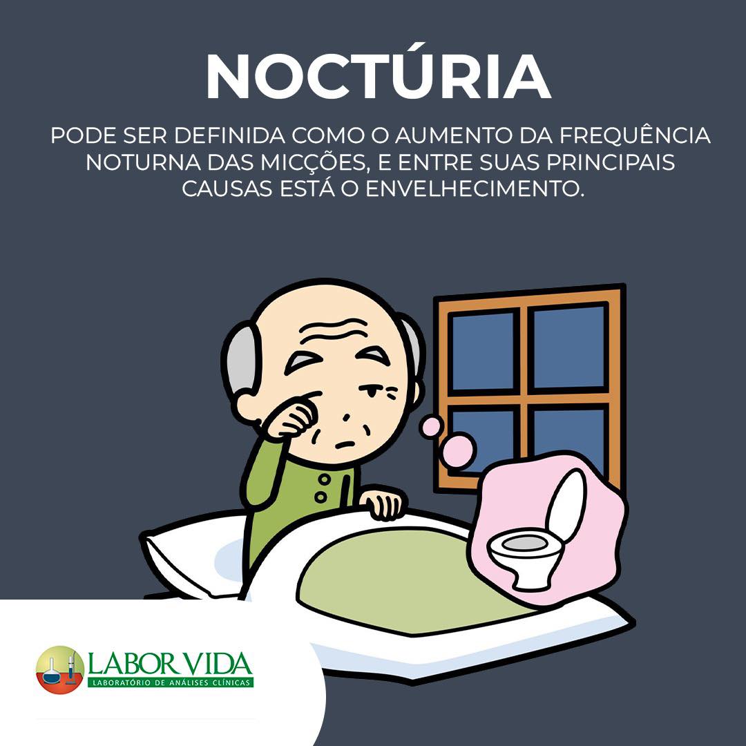 melhores chás para noctúria
