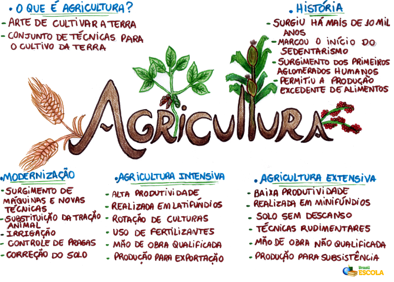 o que é agricultura