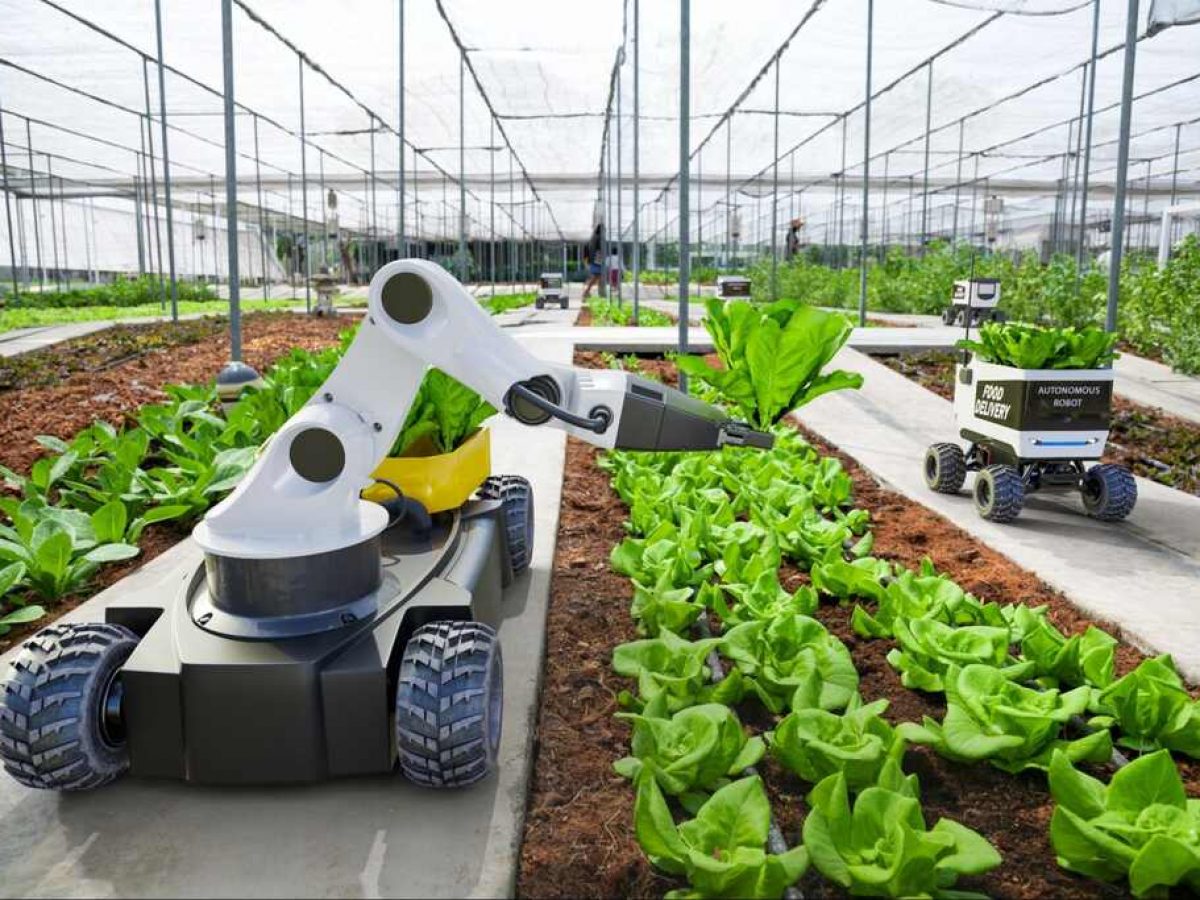 agricultura familiar vs agricultura empresarial