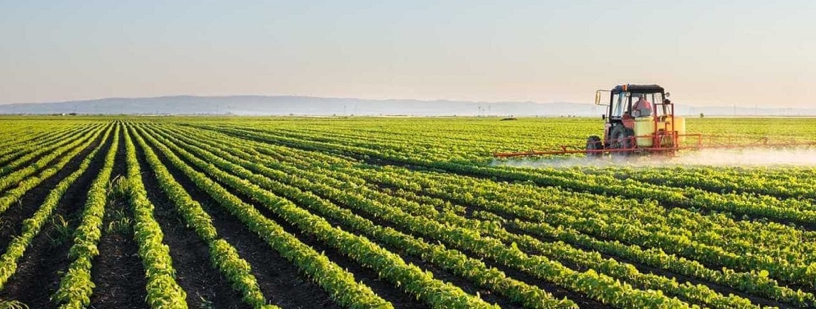 erros comuns na gestão de lavouras