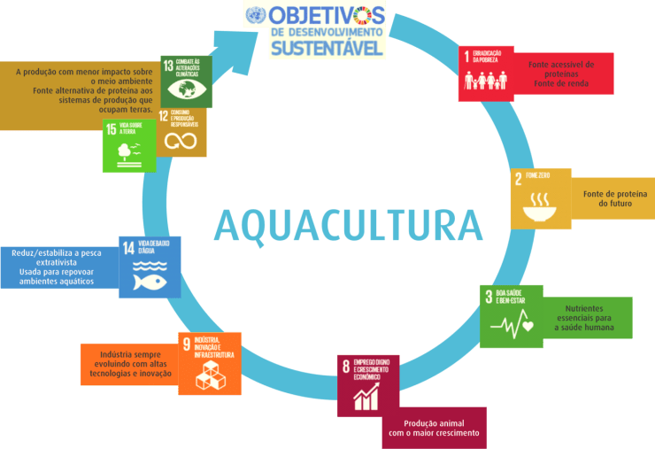 tipos de aquicultura para iniciantes