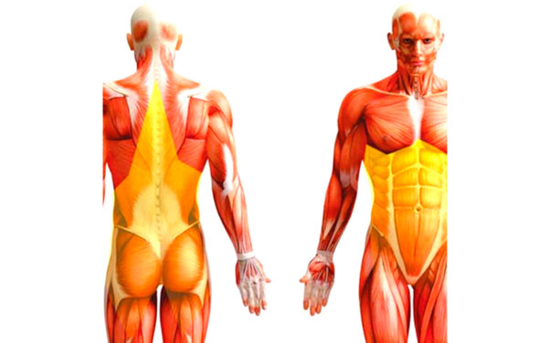 erros comuns ao treinar o core e como evitá-los