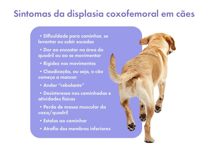 tipos de displasia e seus tratamentos