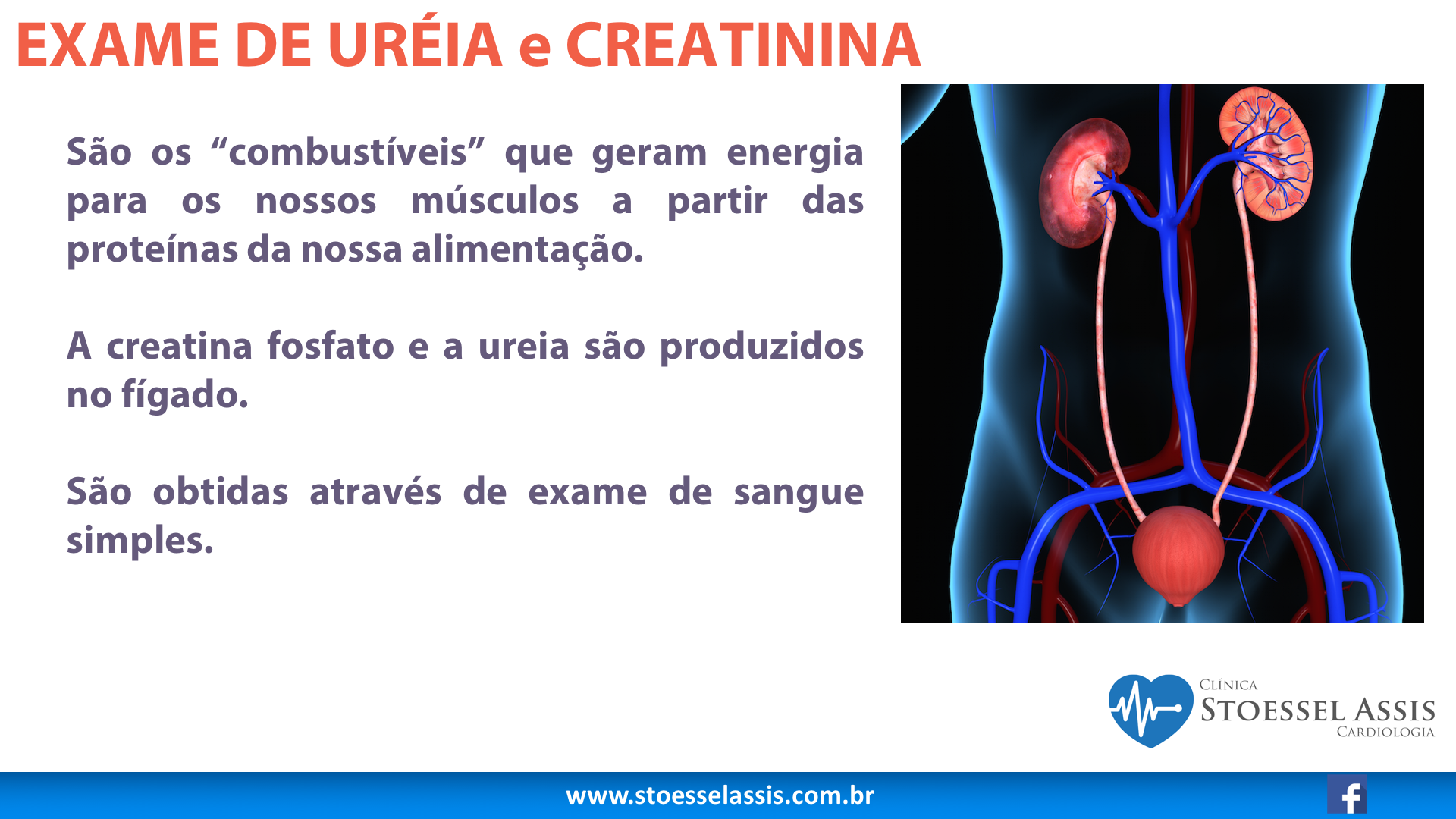 o que causa ureia alta no sangue