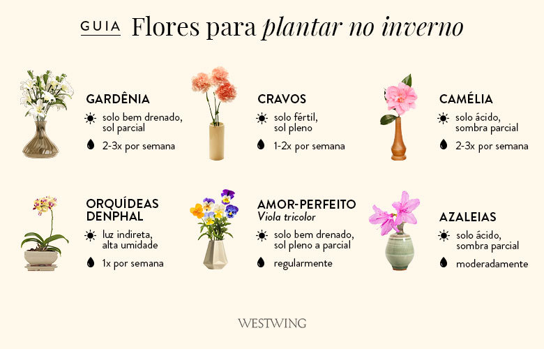 o que é flora