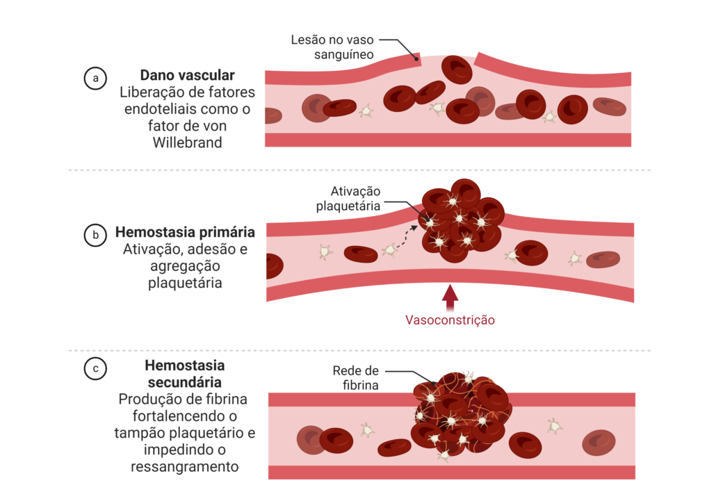 tipos de hemostasia e quando ocorrem