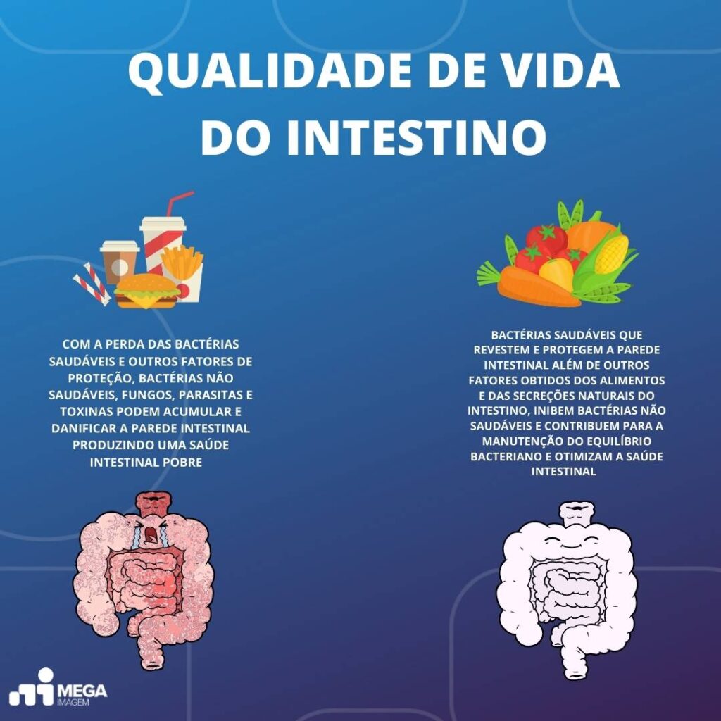 o que é microbiota e para que serve