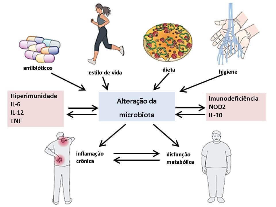erros comuns ao cuidar da microbiota