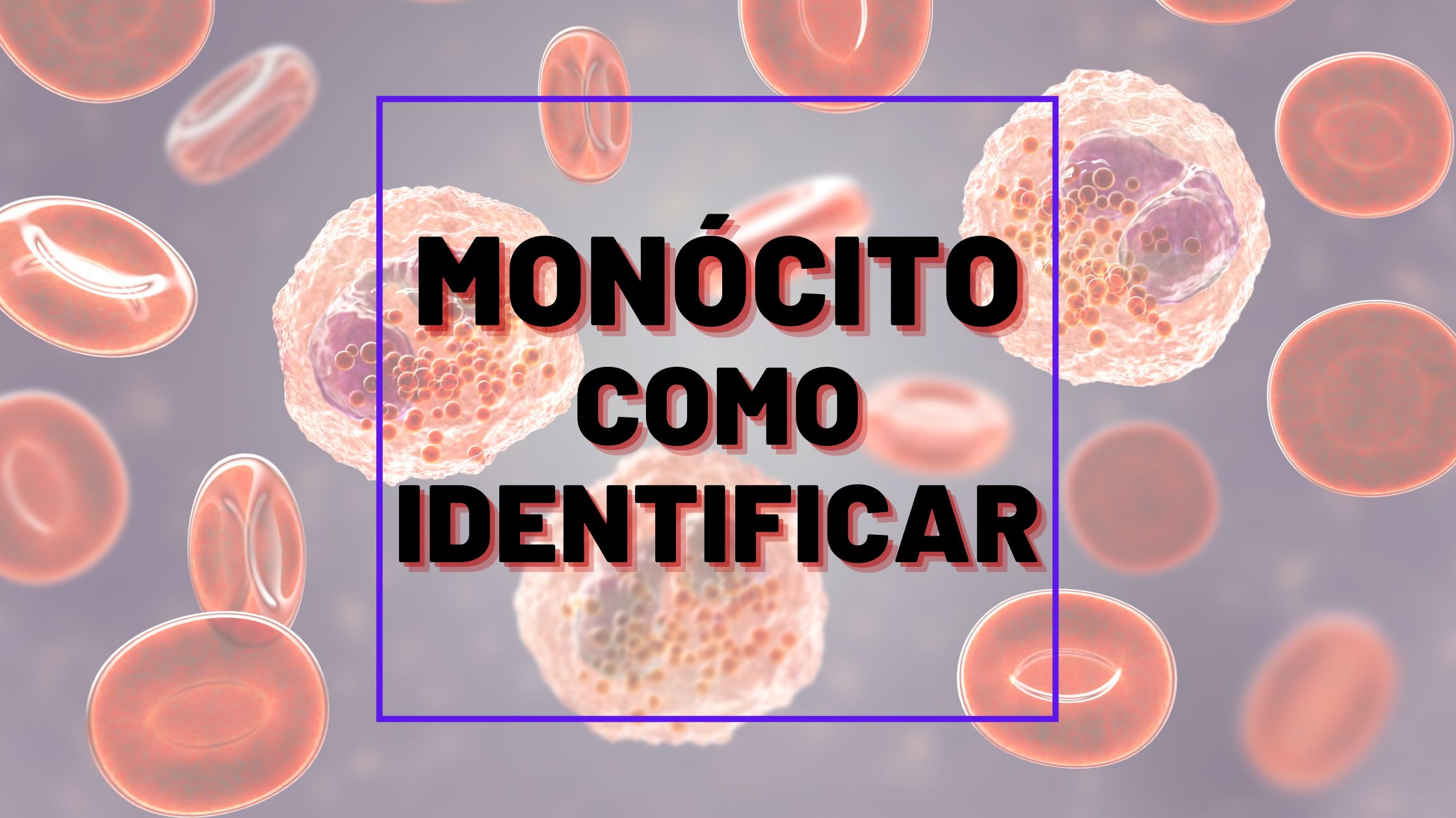 erros comuns ao interpretar contagem de monócitos