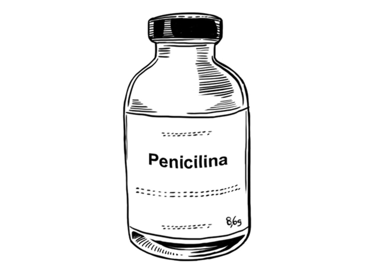 penicilina vs amoxicilina qual a diferença