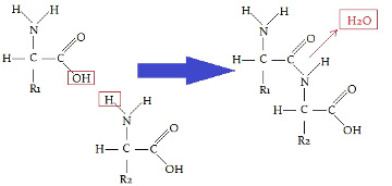 erros comuns ao usar peptídeos na pele