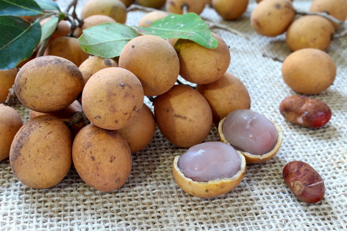 frutas brasileiras para experimentar