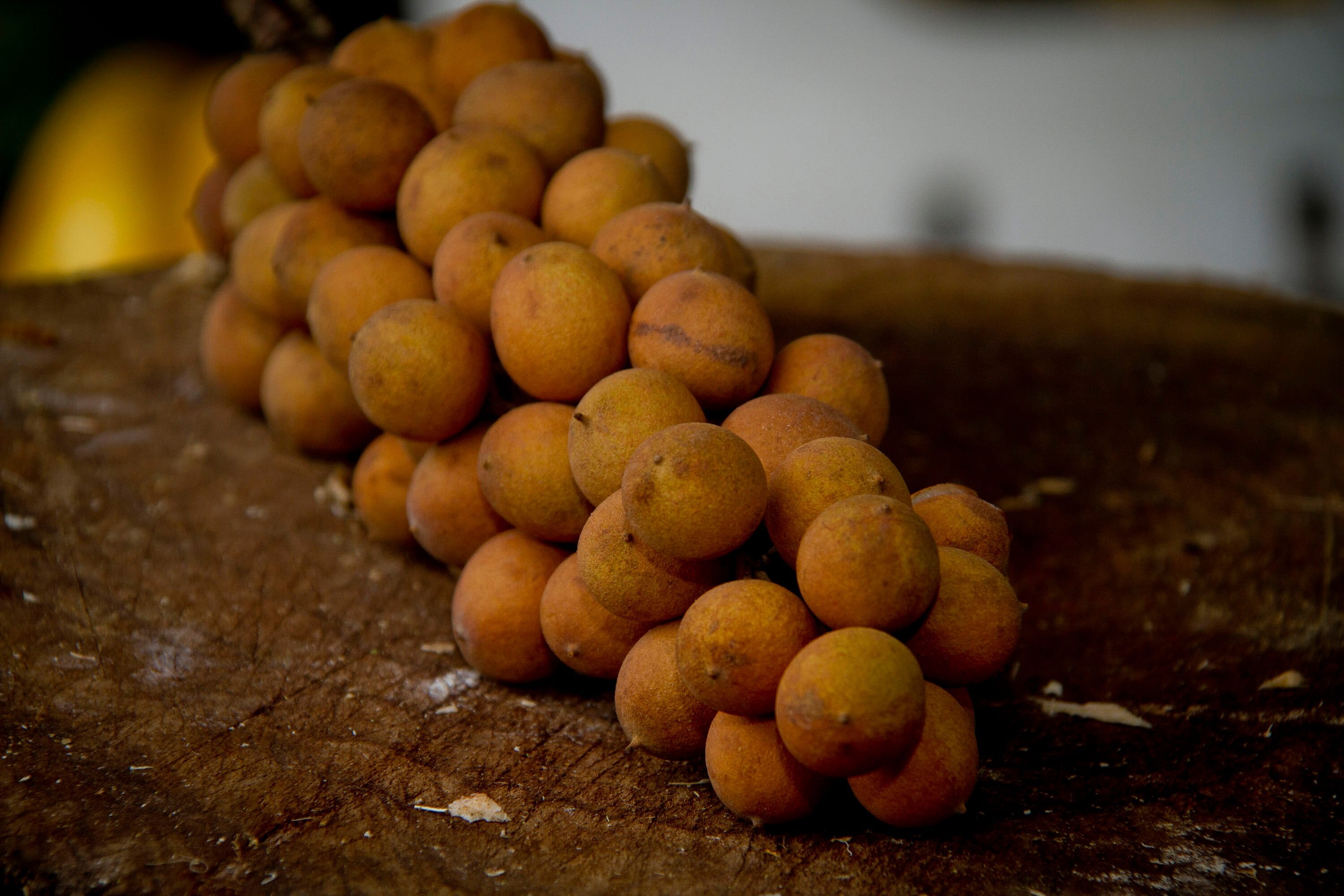 erros ao plantar pitomba