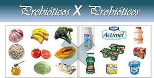 para que servem probióticos