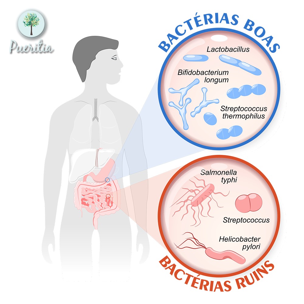 benefícios dos probióticos