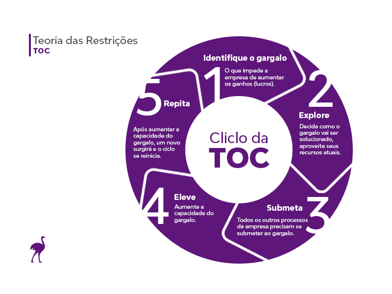 erros comuns ao lidar com restrições veiculares