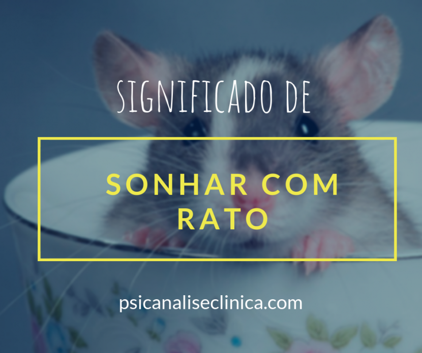 lista de significados de sonhar com rato