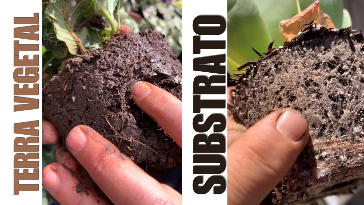 o que é substrato