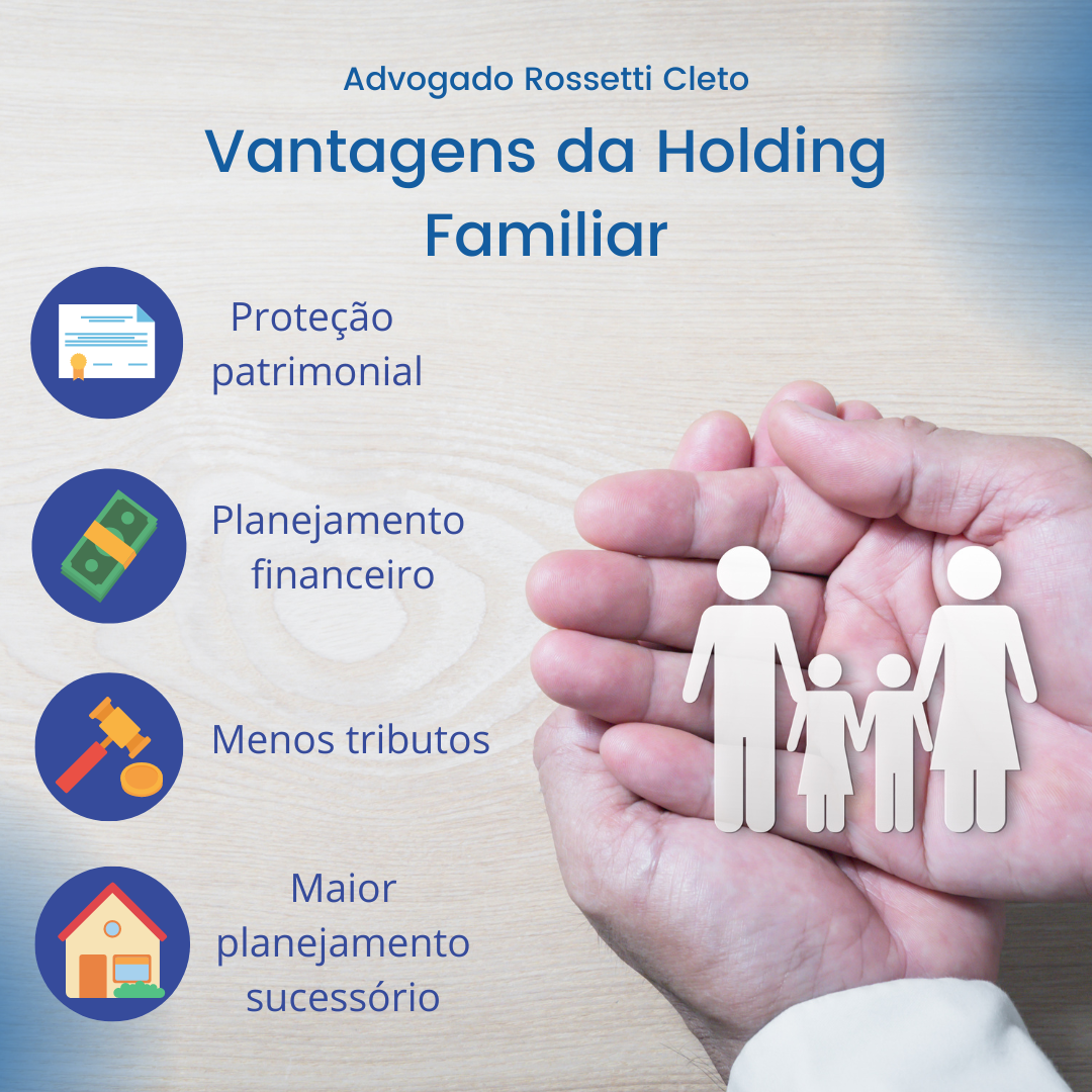 o que é uma holding familiar