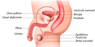 o que é uretrite e como tratar