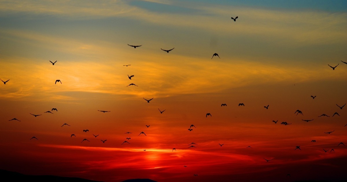 custo de cursos vespertinos