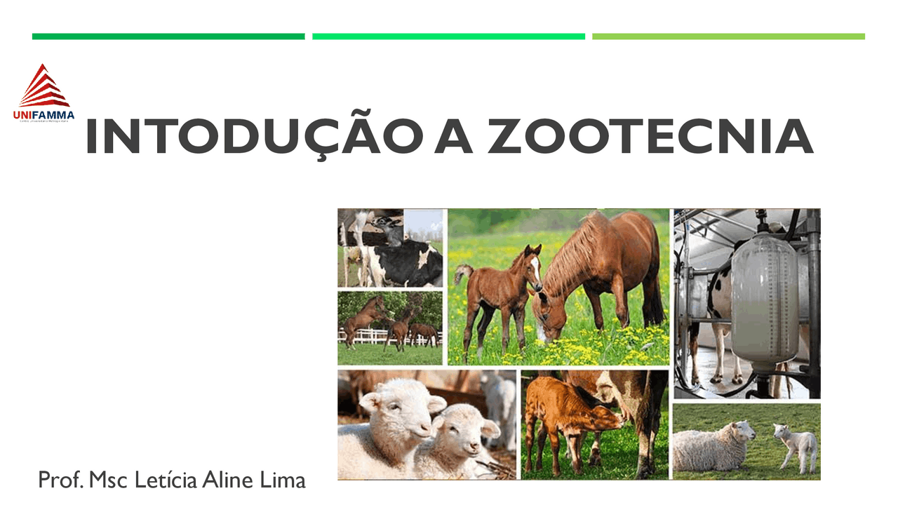 o que faz um zootecnista na prática