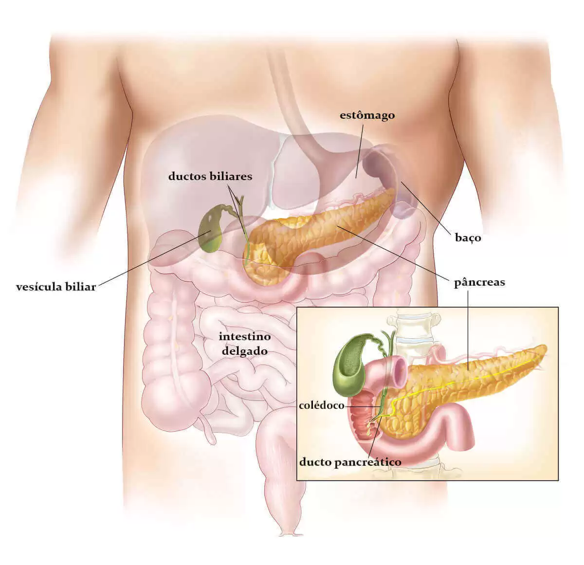 pancreatite o que é