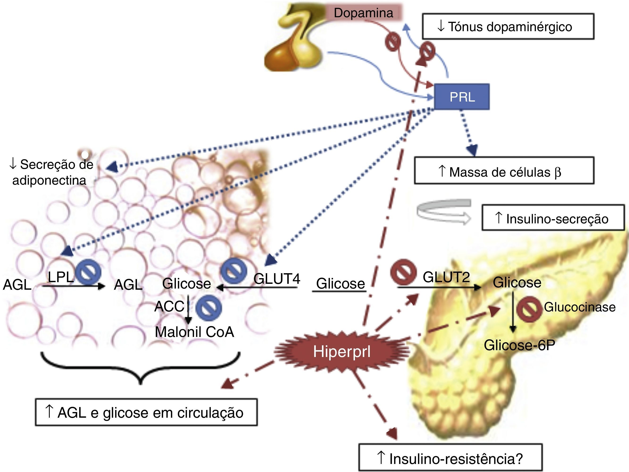 o que causa prolactina alta em mulheres