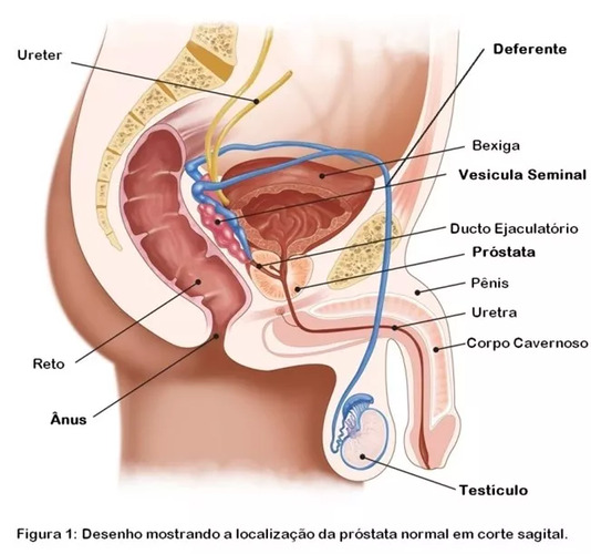 erros comuns ao cuidar da saúde da próstata