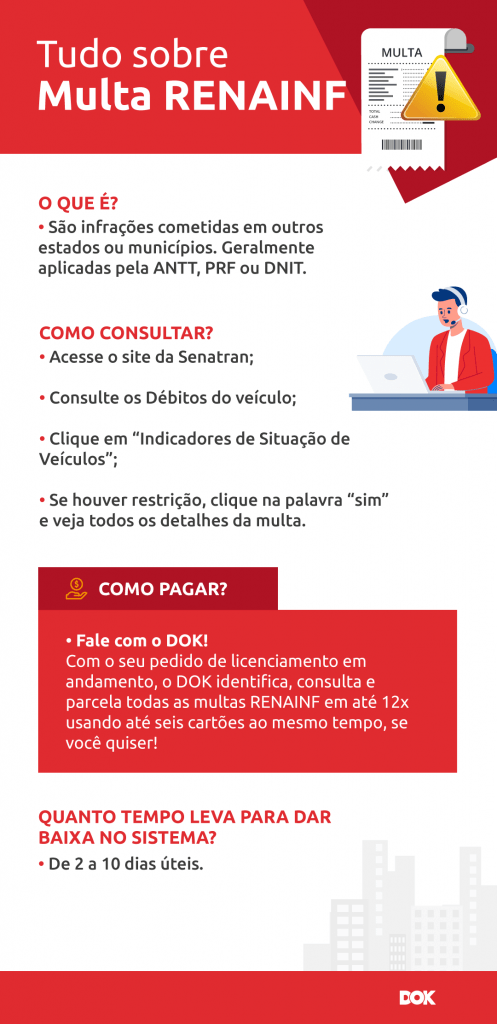 o que é renainf e como consultar