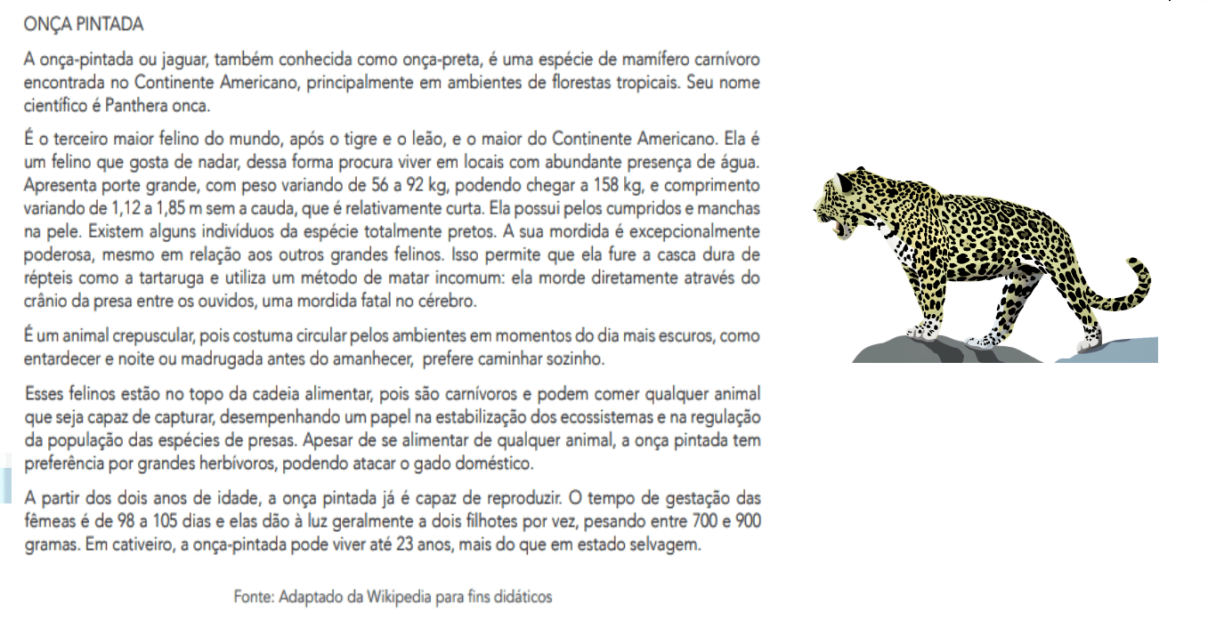 verbete de dicionário vs verbete de enciclopédia qual a diferença